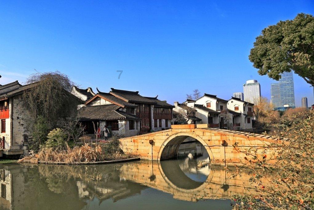 养什么狗好 适合家养游戏画面